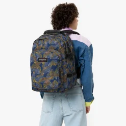 PROVIDER