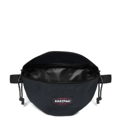 SPRINGER